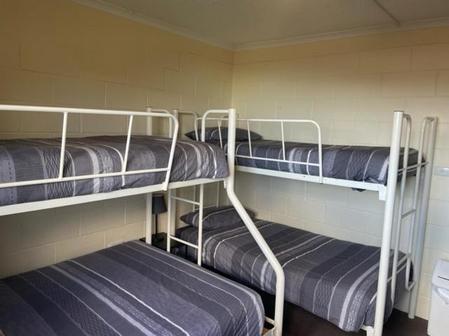 Cooroona Alpine Lodge ฟอลส์ครีก ภายนอก รูปภาพ